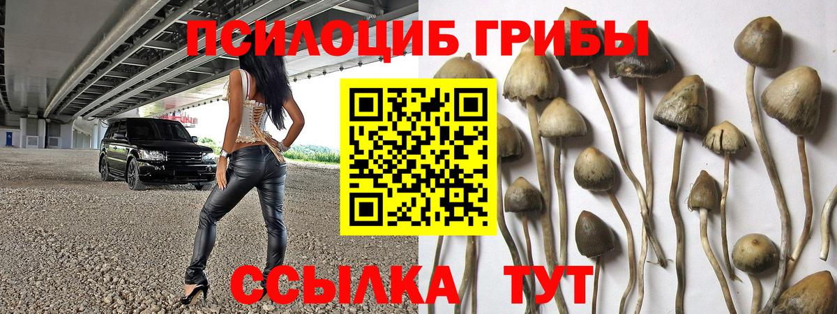 Псилоцибиновые грибы мицелий Феодосия