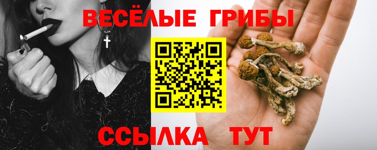 Галлюциногенные грибы Psilocybe  цены наркотик  Феодосия  Вход с VPN  Галлюциногенные грибы ЛСД 